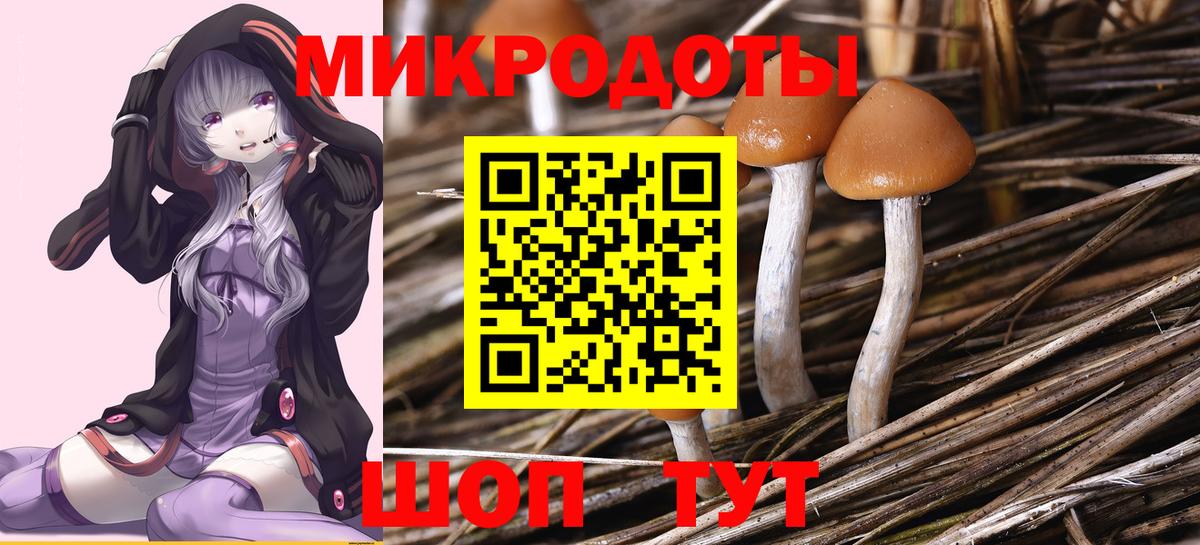 Псилоцибиновые грибы прущие грибы Заводоуковск