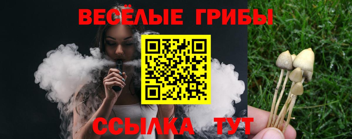 Заводоуковск  Галлюциногенные грибы мухоморы  цены   Вход с VPN 
